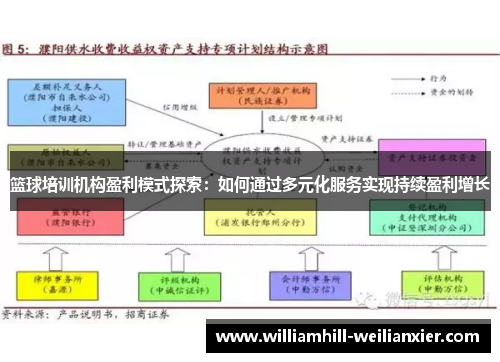 篮球培训机构盈利模式探索：如何通过多元化服务实现持续盈利增长