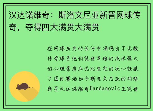汉达诺维奇：斯洛文尼亚新晋网球传奇，夺得四大满贯大满贯
